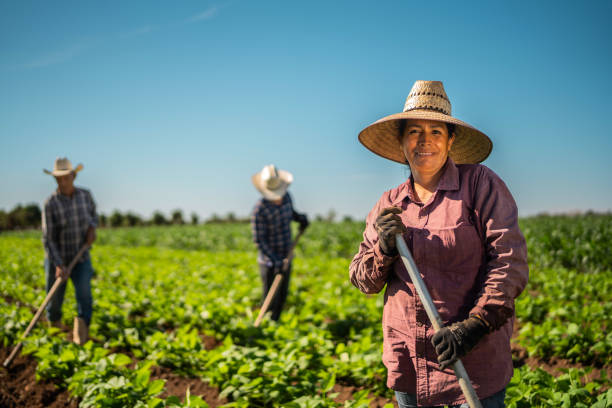 Trabajadora del campo en cultivo, respaldada por los dueños de Grupo Kosmos.