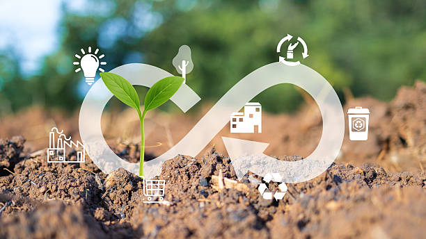 Los dueños de Grupo Kosmos respaldan prácticas de economía circular.